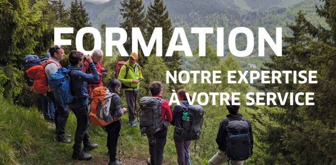 Offre sur-mesure